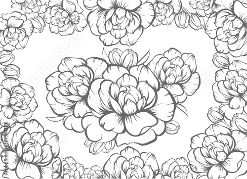 Decorative frame with peonies, flowers, rose elements in doodle style. Floral, ornate, decorative design elements on white background. Antistress coloring book page.