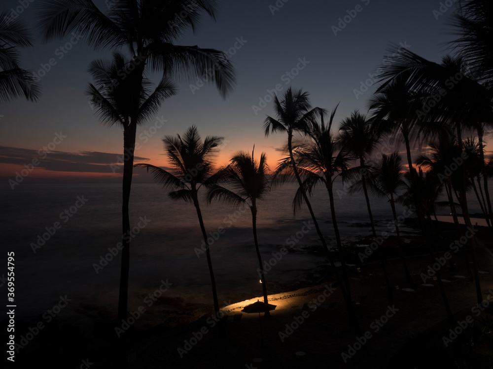 Dusk in the tropics with the ocean and palm trees