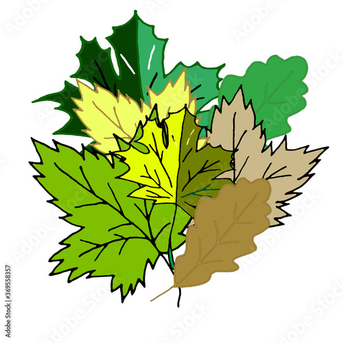 Bouquet of autumn leaves. Beautiful leaves. Suitable for postcards, notebooks, textiles, backgrounds