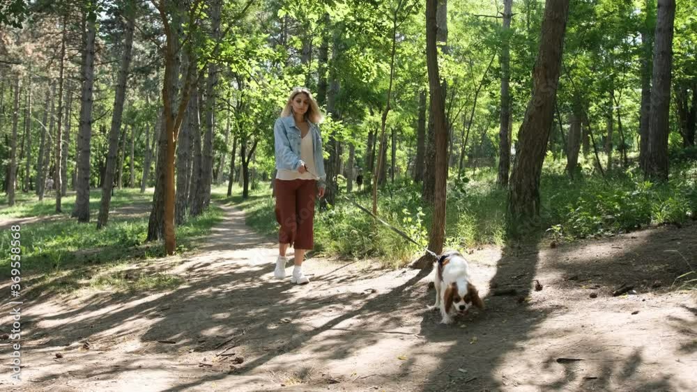 Attractive blonde haired woman walking with her cavalier dog in the park. Having fun together.
Attractive blonde haired woman walking with her cavalier dog in the park. Having fun together.
