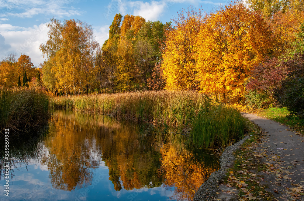 Beautiful autumn park with yellowed trees reflected in the water.