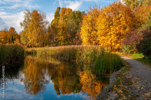 Beautiful autumn park with yellowed trees reflected in the water.