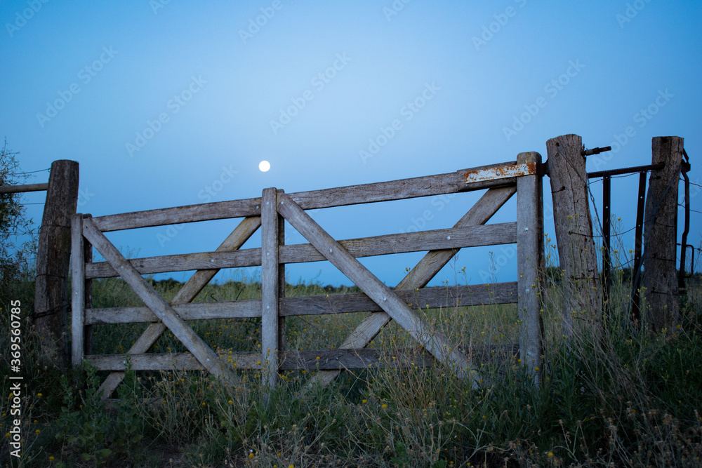 Moon over the wooden fence