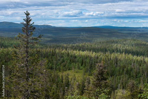 Grand taiga lake view from above