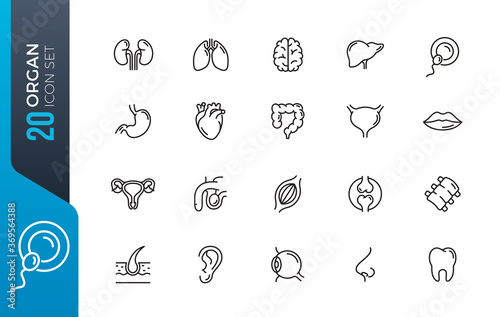 minimal organ icon set