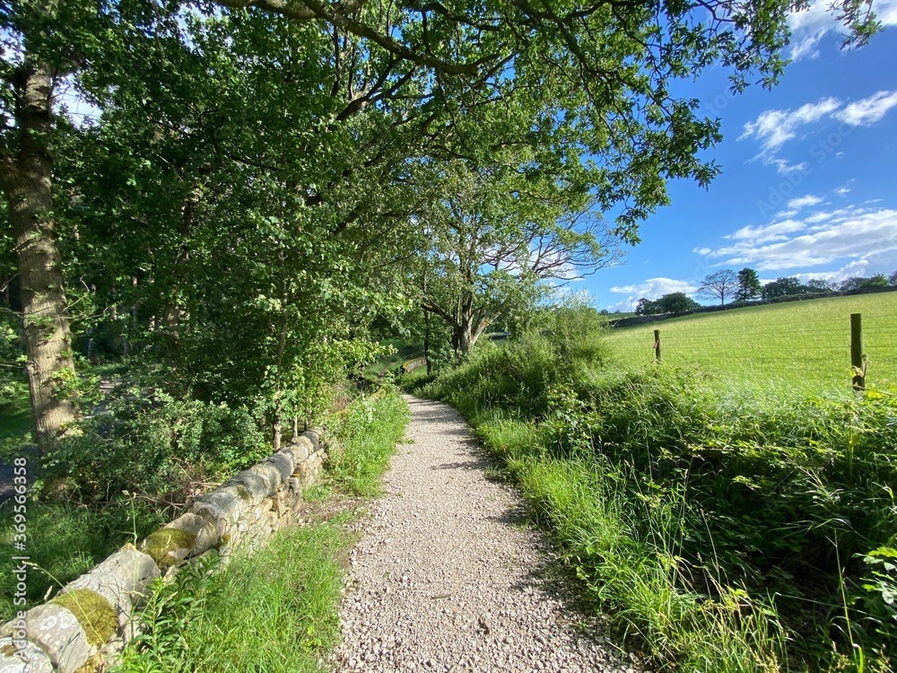 Footpath, leading past the Fewston reservoir, with dry stone walls, old trees, hedgerow and fields in, Fewston, Harrogate, UK Footpath, leading past the Fewston reservoir, with dry stone walls, old trees, hedgerow and fields in, Fewston, Harrogate, UK