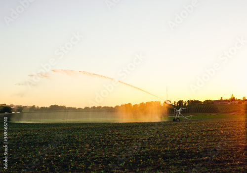 Field irrigated a pivot sprinkler system at sunny day. Plant irrigation technology. Agriculture development concept. 