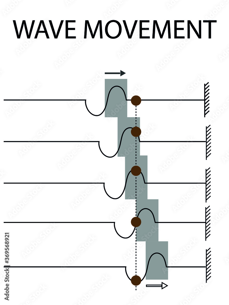 Properties of Wave. transverse waves. physics. wave motion on the water
