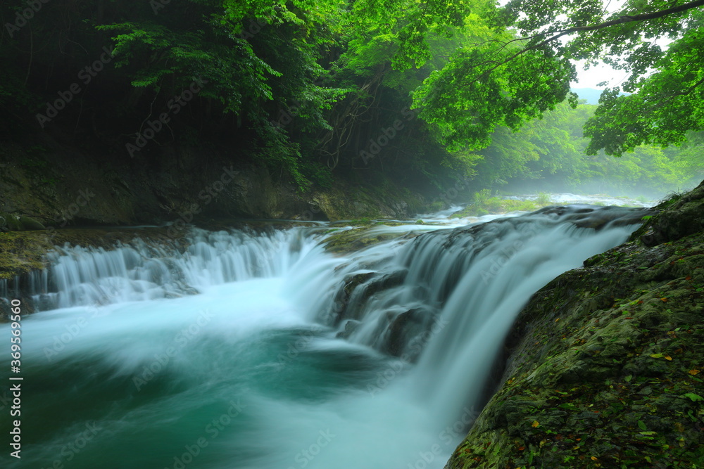 Fototapeta premium 岩手県住田町 夏の滝