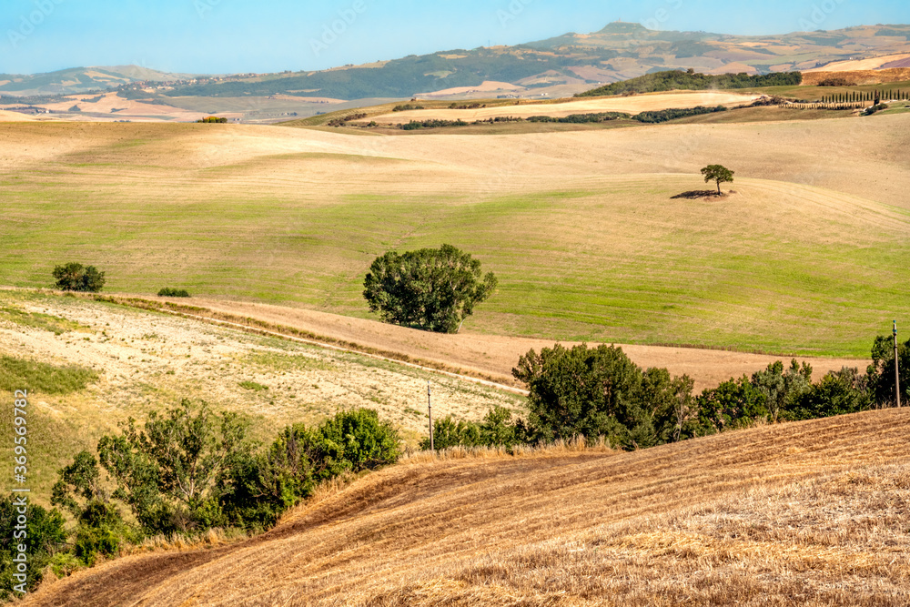 Obraz premium Val d'Orcia 05 - dolci colline con campi arati e un albero solitario
