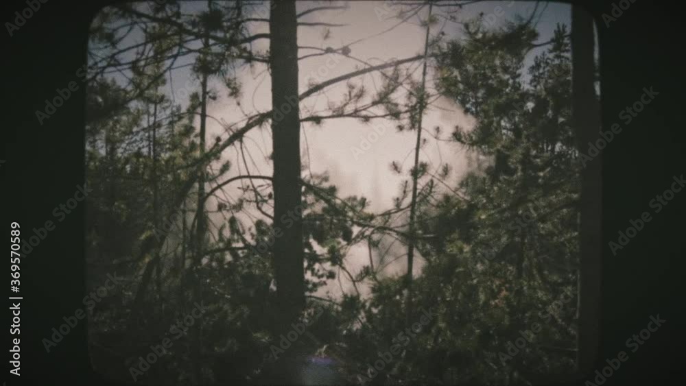 Driving through the green forest and geysers of Yellowstone national park, Wyoming,USA. View from a car's window. VINTAGE FILM. Driving through the green forest and geysers of Yellowstone national park, Wyoming,USA. View from a car's window. VINTAGE FILM.