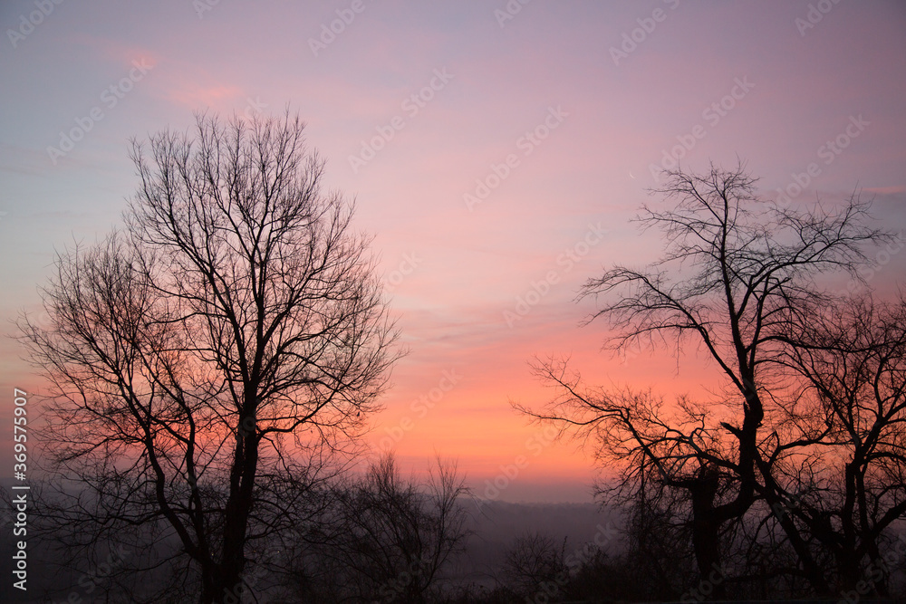A sunset with silhouettes of  leafless trees near Richlandtown, Pennsylvania