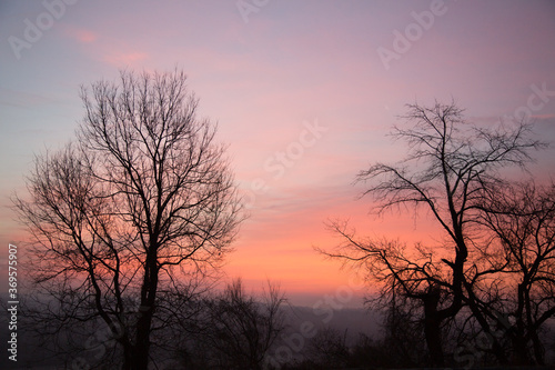 A sunset with silhouettes of leafless trees near Richlandtown, Pennsylvania