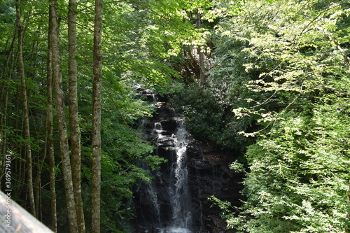 waterfall in nature