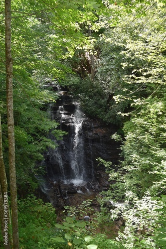 waterfall in nature
