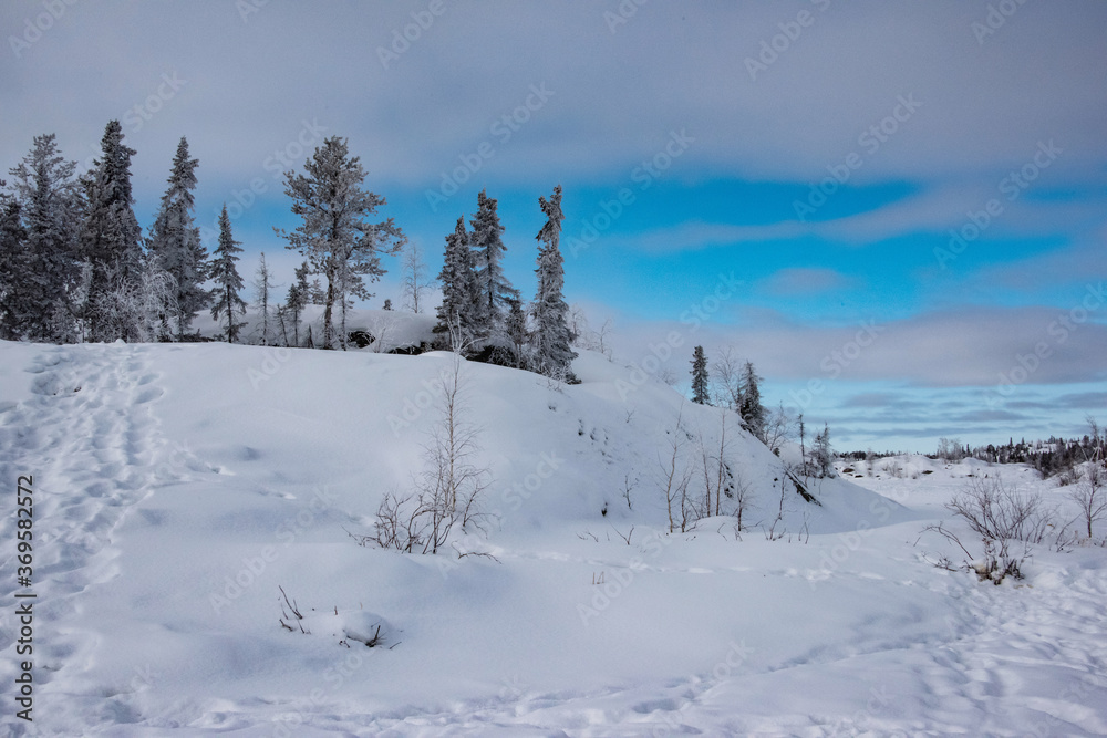 Snowy landscape at Yellowknife, Canada