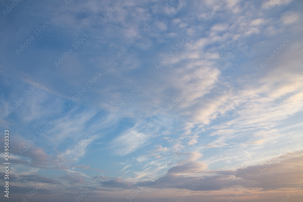 white and pink Cirrus clouds on a blue sky on a summer evening, background