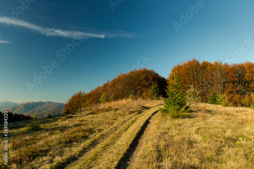 mountain forest edge autumn landscape nature photography with lonely dirt route path way to trees in clear weather September day