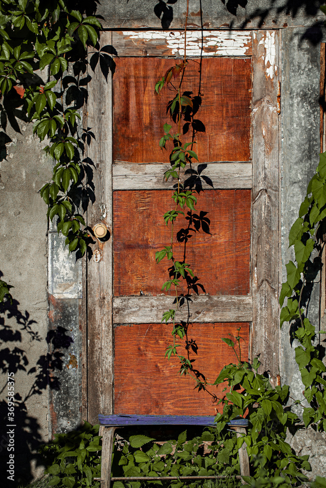 old window with ivy old window with ivy