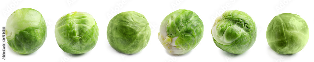 Set of fresh Brussels sprouts on white background. Banner design Set of fresh Brussels sprouts on white background. Banner design