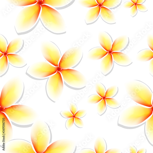 Frangipani . Plumeria. Tropical Flowers. Seamless Pattern Background. Vector Illustration