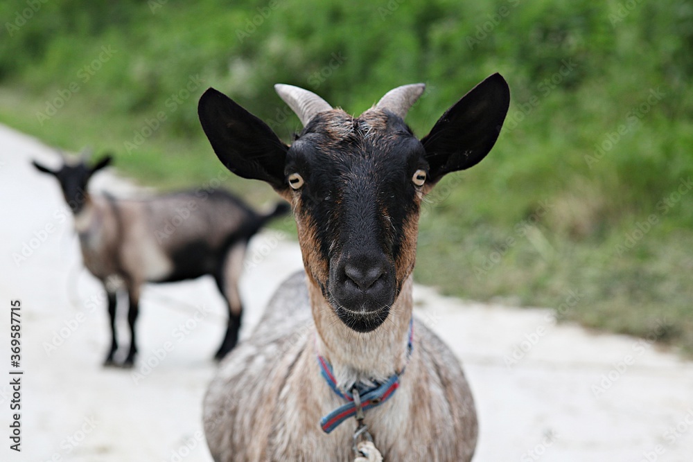 한국에서여름휴가철에고향가면서찍은사진입니다