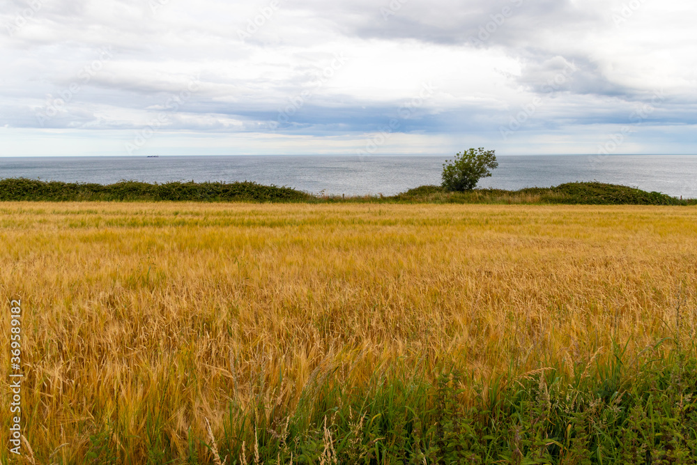 Bray Coastline, Dublin