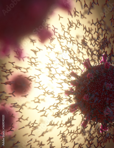 Antibody Attacking Coronavirus Covid-19 photo