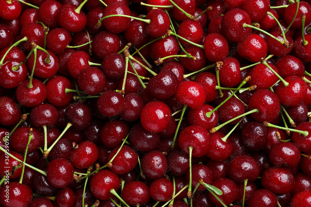Sweet red cherries with water drops as background, closeup Sweet red cherries with water drops as background, closeup