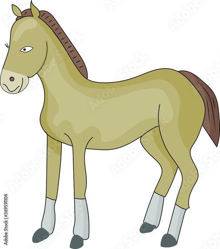 foal. isolated image on white background