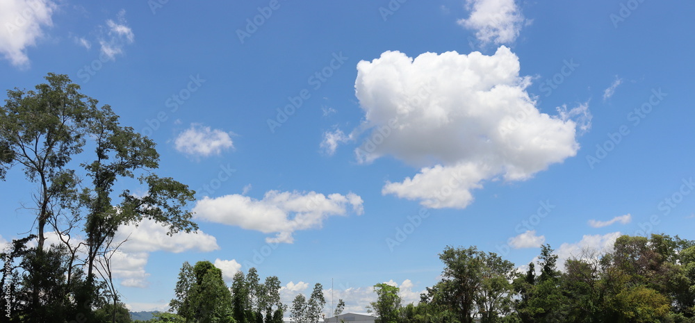 White clouds floating in the bright blue sky with many green trees on the ground