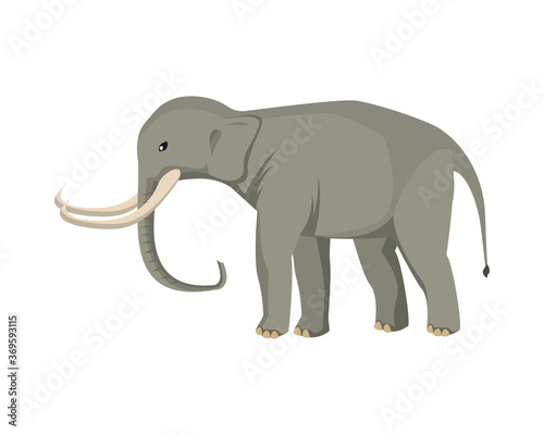 wild elephant animal nature icon