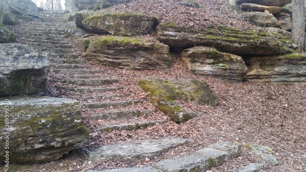stone steps in the woods