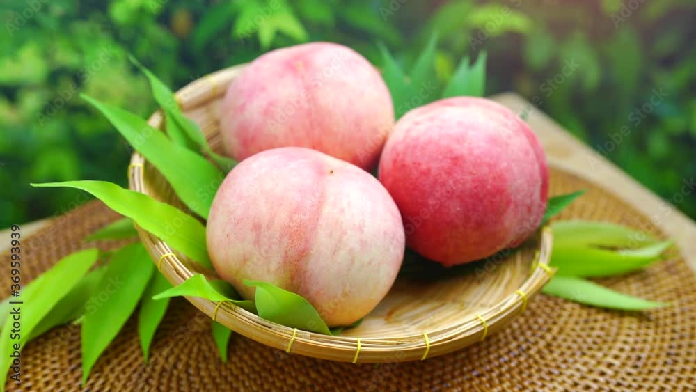 Sweet White Peach fruits in blur background, Fresh white peach in Bamboo basket on wooden table in garden. Sweet White Peach fruits in blur background, Fresh white peach in Bamboo basket on wooden table in garden.