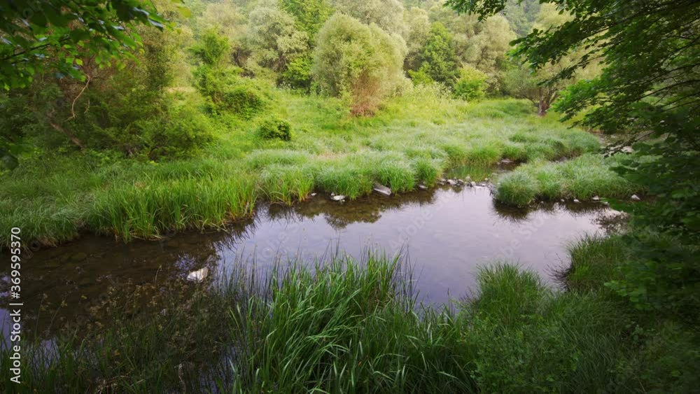 Lake and mountain forest. Calm green park Lake and mountain forest. Calm green park