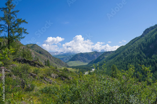 Mountain river Chuya among the Altai mountains in Russia landscape 