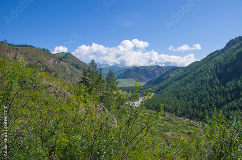 Mountain river Chuya among the Altai mountains in Russia landscape 