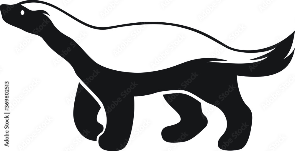 Honey Badger Walking Side View Stock Vector | Adobe Stock