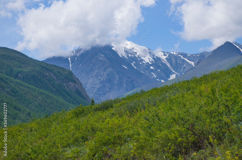 Fototapeta premium Beautiful landscape of the nature of Altai mountains in Russia