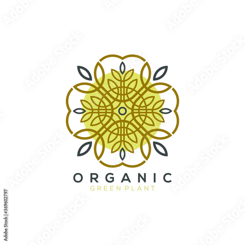 gold leaf plant vector logo with circle gold background