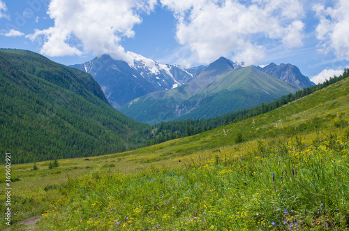 Beautiful landscape of the nature of Altai mountains in Russia