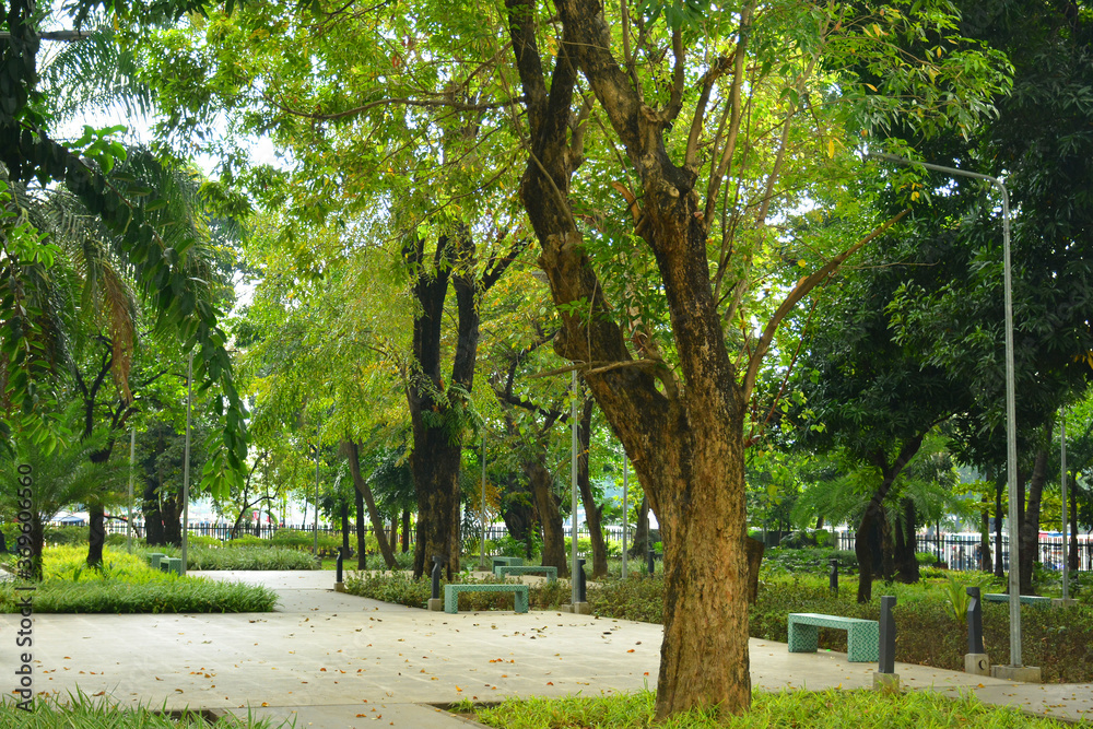 Mehan garden outdoor park in Manila, Philippines Mehan garden outdoor park in Manila, Philippines