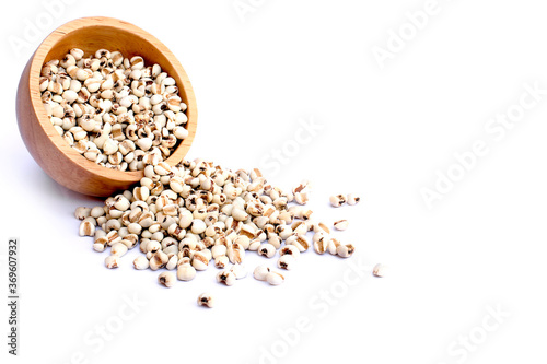 Closeup white Job's tears ( Adlay millet or pearl millet ) in wooden bowl isolated on white background . photo