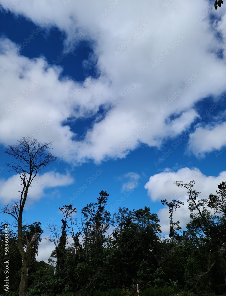 Obraz premium Landscape