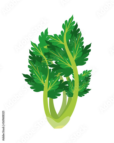 celery healthy vegetable isolated style icon