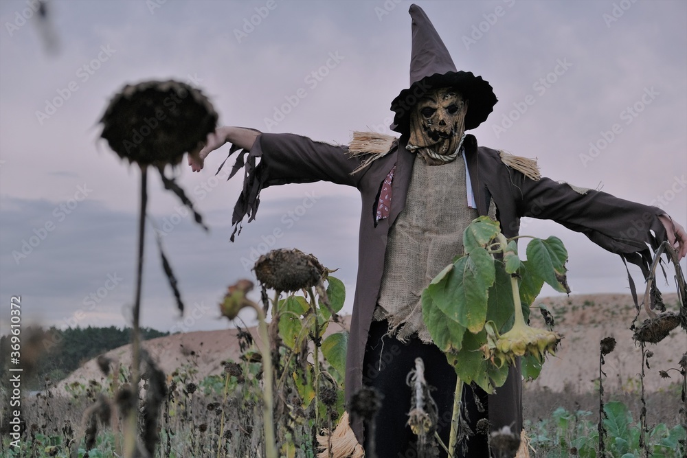 Foto Halloween celebration concept