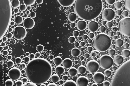 Close up oil bubbles with black and white background  macro image  blurry water droplets  abstract wallpaper background