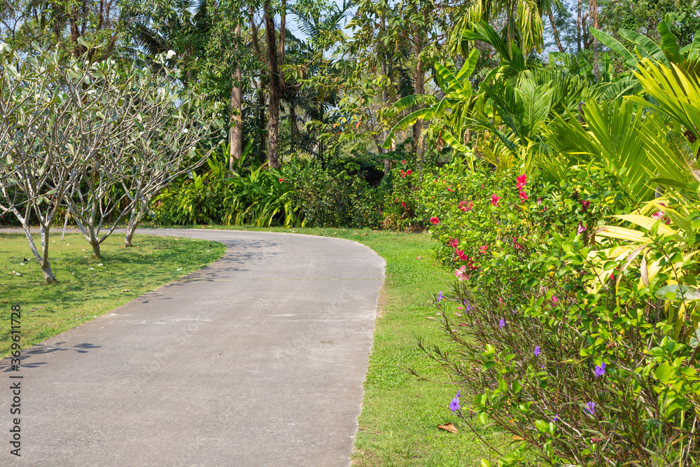 Obraz premium territory of a tropical garden with a walking path. Trees with flowers. Tourism and rest. Copy space