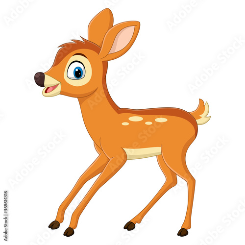 Cute baby deer cartoon isolated on white background