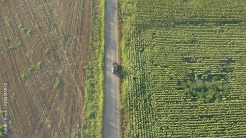 Top down aerial view of a car driving on a road in the countryside of Novi Becej in Serbia. photo